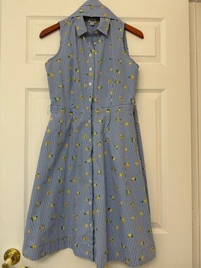 J Crew Shirt Dress